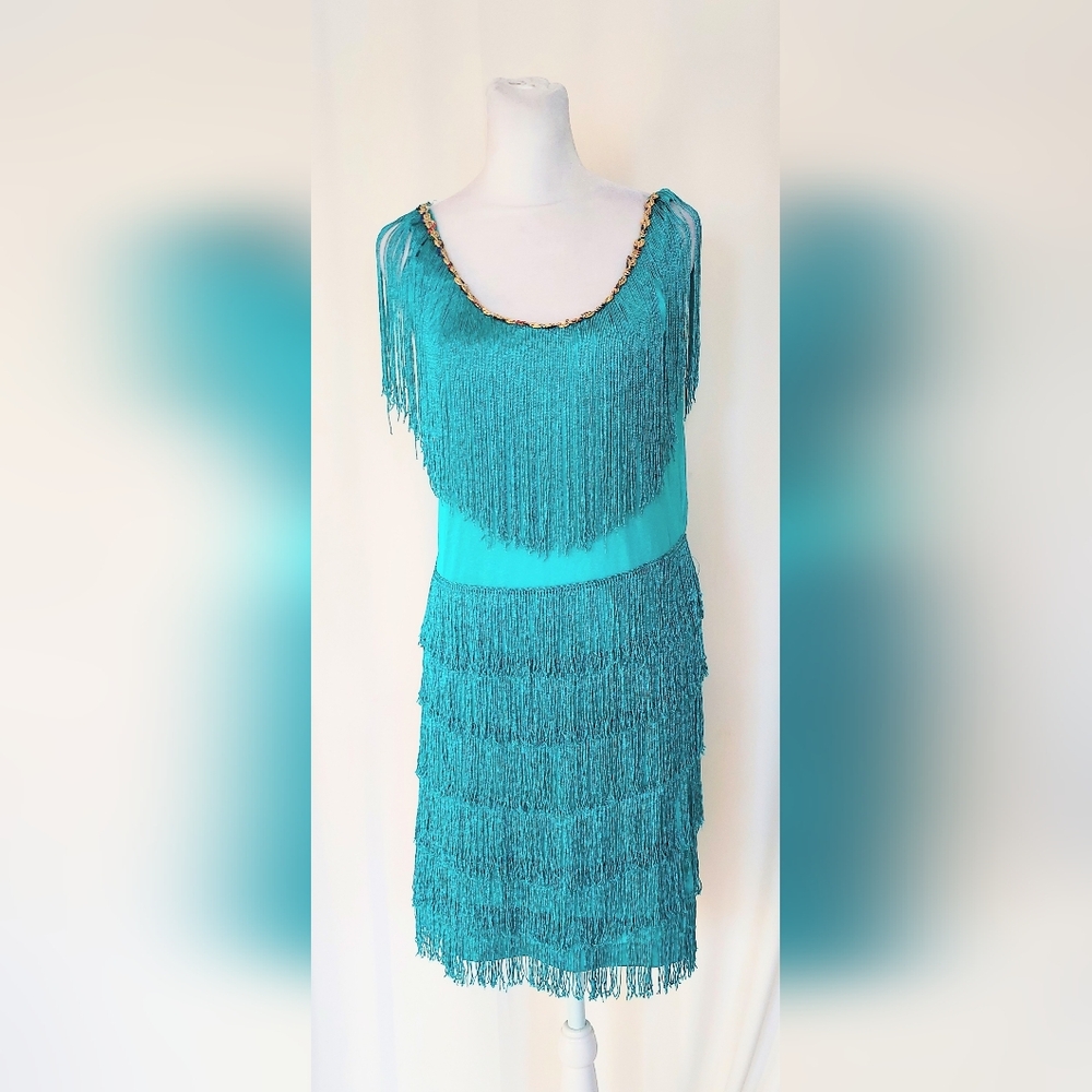 California Costume Collection Adult Large Fringe 1920's Style Flapper Dress